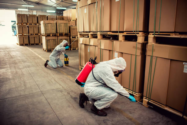 Best Rat Extermination Near Me  in Westminster, MD