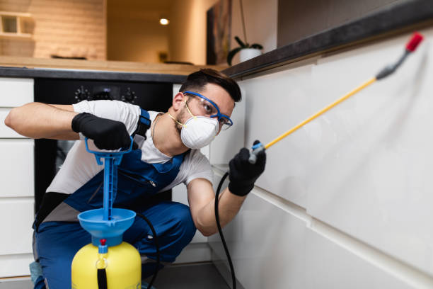 Best Pest Removal Services  in Westminster, MD