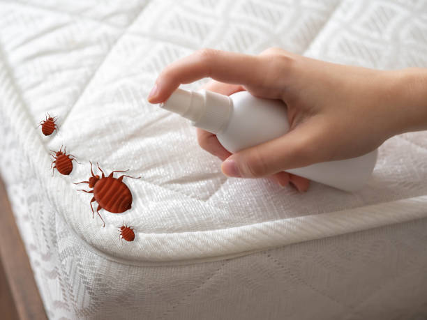 Best Flea Control Services  in Westminster, MD