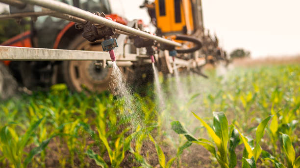 Pest Control Cost in Westminster, MD